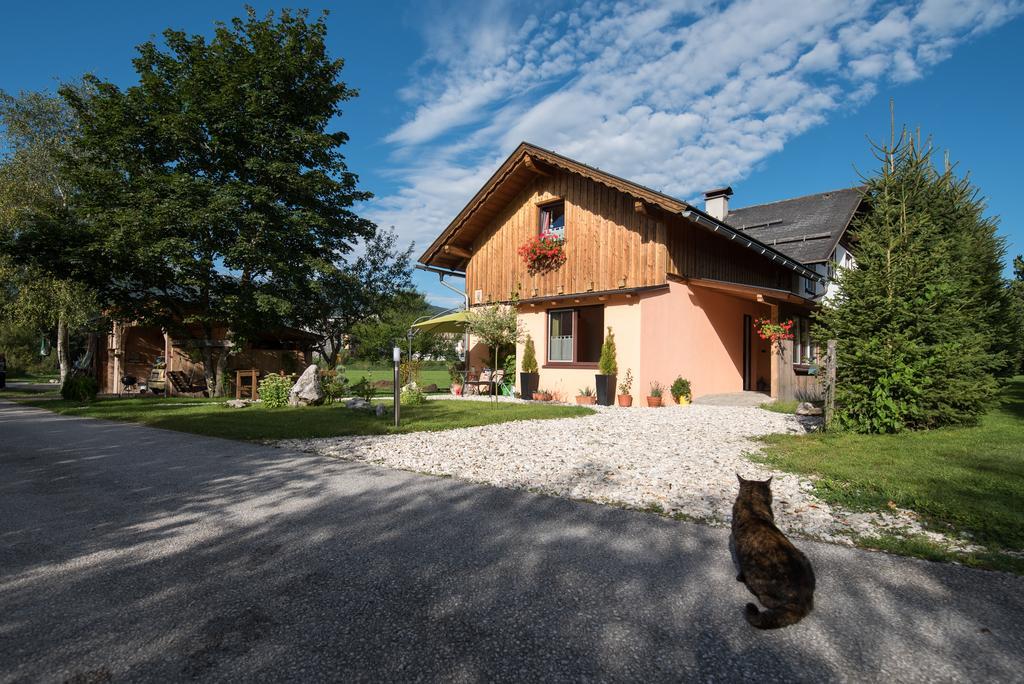 Casa Emmi Apartment Bad Mitterndorf Luaran gambar