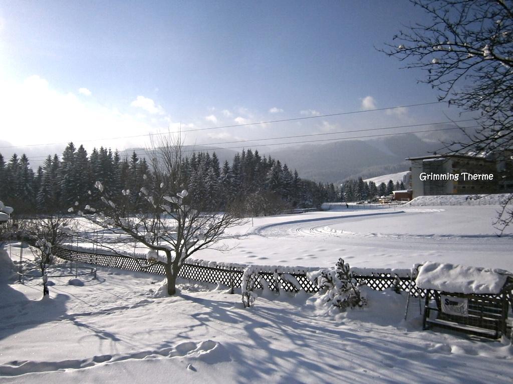 Casa Emmi Apartment Bad Mitterndorf Luaran gambar