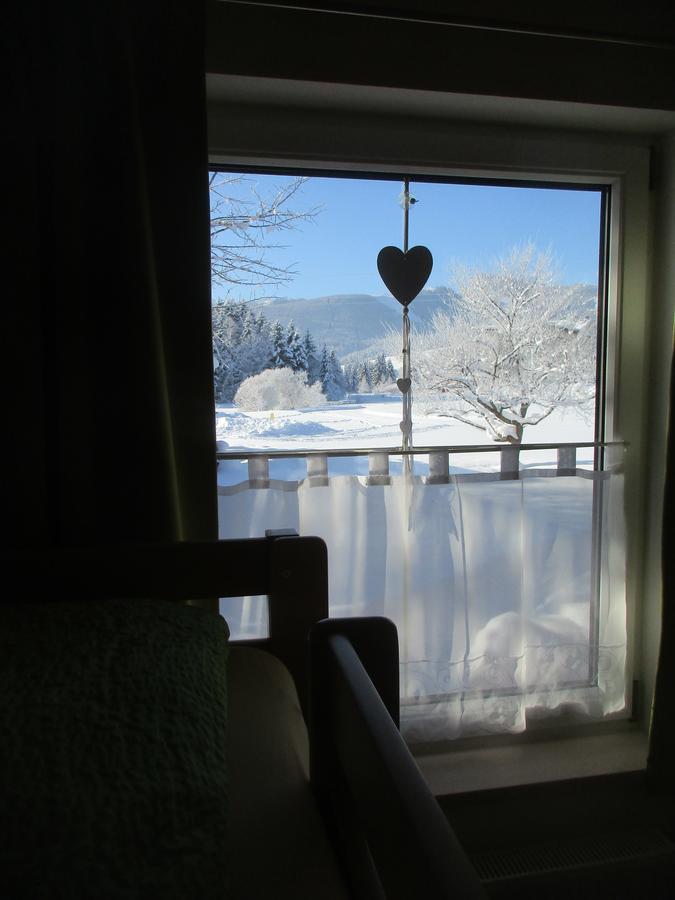 Casa Emmi Apartment Bad Mitterndorf Luaran gambar