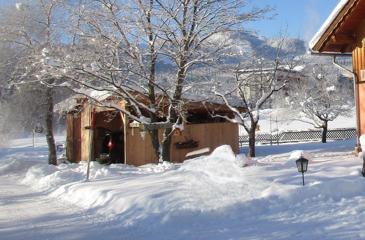 Casa Emmi Apartment Bad Mitterndorf Luaran gambar